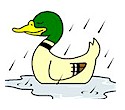 duck.jpg (6026 bytes)